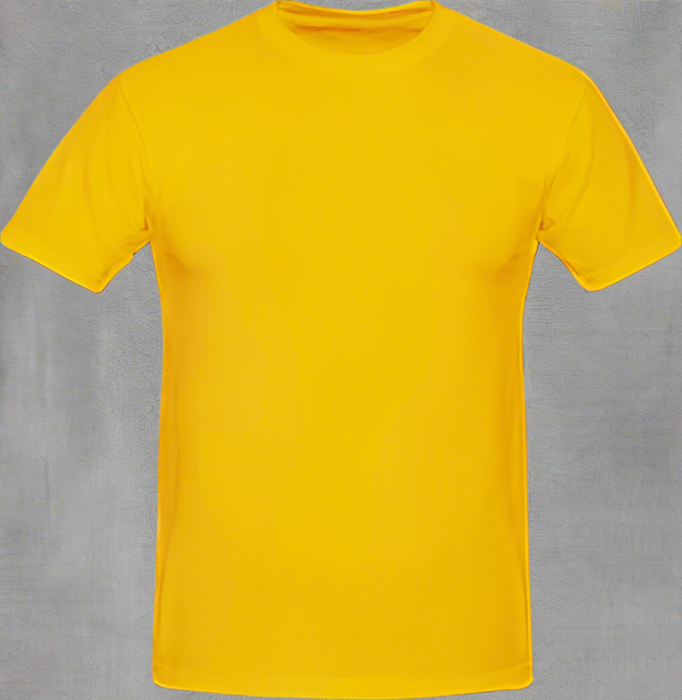 ±160g Combed Cotton Round Neck T-Shirts - Solid Safety and Stationers 
